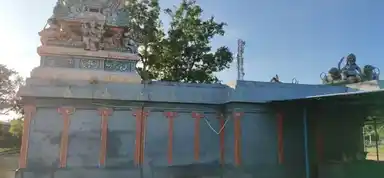 Arulmigu Pidariamman Temple, Perungalur, Pudukkottai Taluk - 622203 அருள்மிகு பிடாரியம்மன் திருக்கோயில், பெருங்களூர், புதுக்கோட்டை வட்டம் - 622203, Pudukkottai - Ancient Temple Architecture and History Image 5