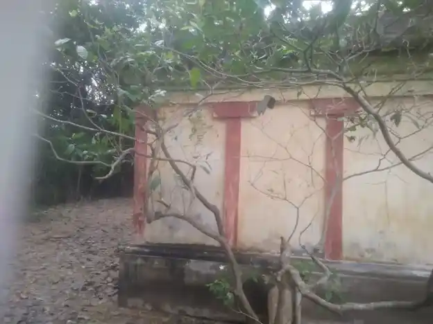 Arulmigu Pidariamman Temple, Sathanur - 609802 Arulmigu Pidariamman Temple, Sathanur - 609802, Thanjavur - Ancient Temple Architecture and History Image 4