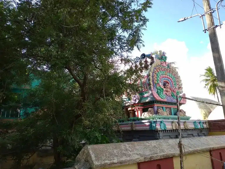Arulmigu Pidariamman Temple, Thiruvarur - 610003 அருள்மிகு பிடாரியம்மன் திருக்கோயில், திருவாரூர் - 610003, Thiruvarur - Ancient Temple Architecture and History Image 7