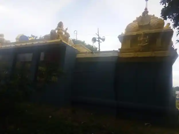 Arulmigu Pidariamman Temple, Thotti - 607105 அருள்மிகு பிடாரியம்மன் திருக்கோயில், Thotti - 607105, Cuddalore - Ancient Temple Architecture and History Image 4