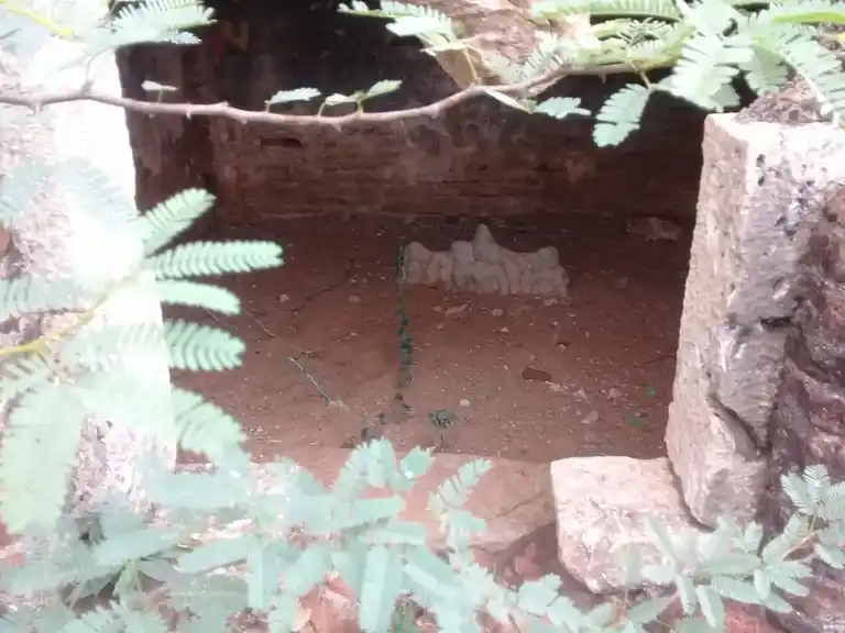 Arulmigu Pidariamman Temple, Udayavartheganur - 621652 அருள்மிகு பிடாரியார் திருக்கோயில், உடையவர்தீயனூர் - 621652, Ariyalur - Ancient Temple Architecture and History Image 4