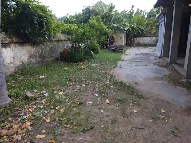 Arulmigu Pidariamman Temple, Vanamadevi - 608701 அருள்மிகு பிடாரியம்மன் திருக்கோயில், Vanamadevi - 608701, Cuddalore - Ancient Temple Architecture and History Image 6