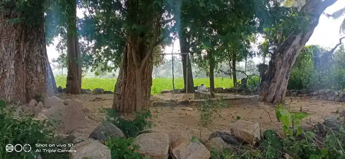 Arulmigu Pidariamman Temple, Veppliaimuthampatti - 635301 அருள்மிகு பிடாரியம்மன் திருக்கோயில், Veppliaimuthampatti - 635301, Dharmapuri - Ancient Temple Architecture and History Image 3