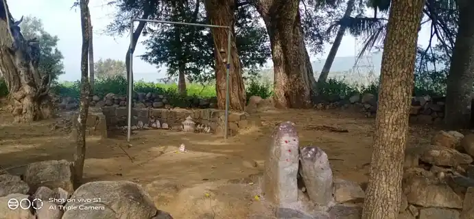 Arulmigu Pidariamman Temple, Veppliaimuthampatti - 635301 அருள்மிகு பிடாரியம்மன் திருக்கோயில், Veppliaimuthampatti - 635301, Dharmapuri - Ancient Temple Architecture and History Image 4