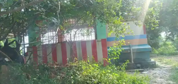 Arulmigu Pidarichelliamman, Kollapuriamman Temple, Near Lake View, Edur - 601201 அருள்மிகு பிடரி செல்லியம்மன் கோல்லிபூரி அம்மன் திருக்கோயில், Near Lake View, Edur - 601201, Tiruvallur - Ancient Temple Architecture and History Image 4