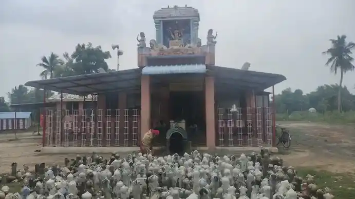 Arulmigu Pidarikulunthalamman Temple, Thappalampuliyur - 610106 அருள்மிகு பிடாரி குளுந்தாளம்மன் திருக்கோயில், தப்பளாம்புலியூர் - 610106, Thiruvarur - Ancient Temple Architecture and History Image 4