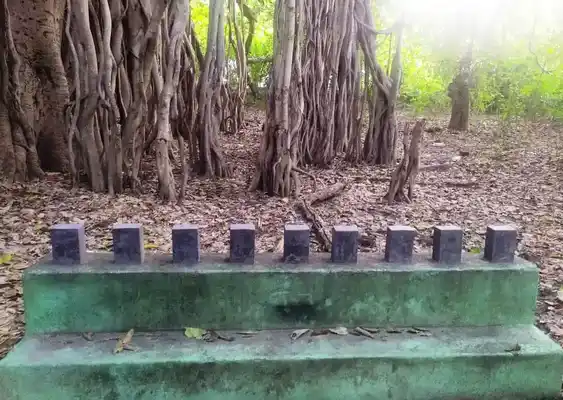 Arulmigu Pidarimariamman Temple, Gunamangalam - 608703 அருள்மிகு பிடாரியம்மன் திருக்கோயில், Gunamangalam - 608703, Cuddalore - Ancient Temple Architecture and History Image 4