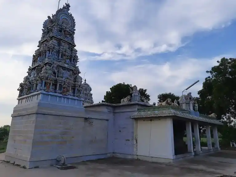 Arulmigu Pidarisellandiamman Temple, Thiruchirappalli - 621207 அருள்மிகு பிடாரிசெல்லாண்டியம்மன் திருக்கோயில், Thiruchirappalli - 621207, Thiruchirappalli - Ancient Temple Architecture and History Image 4