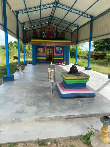 Arulmigu Pidariselliamman Temple, Devadoor - 603306 அருள்மிகு பிடாரி செல்லியம்மன் திருக்கோயில், Devadoor - 603306, Chengalpattu - Ancient Temple Architecture and History Image 4