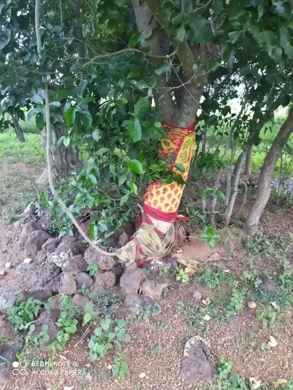 Arulmigu Pidariselliamman Temple, Near Lake View, Keemalur - 601201