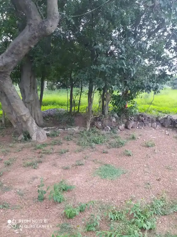 Arulmigu Pidariselliamman Temple, Near Lake View, Keemalur - 601201 அருள்மிகு பிடாரி செல்லியம்மன் திருக்கோயில், Near Lake View, Keemalur - 601201, Tiruvallur - Ancient Temple Architecture and History Image 3