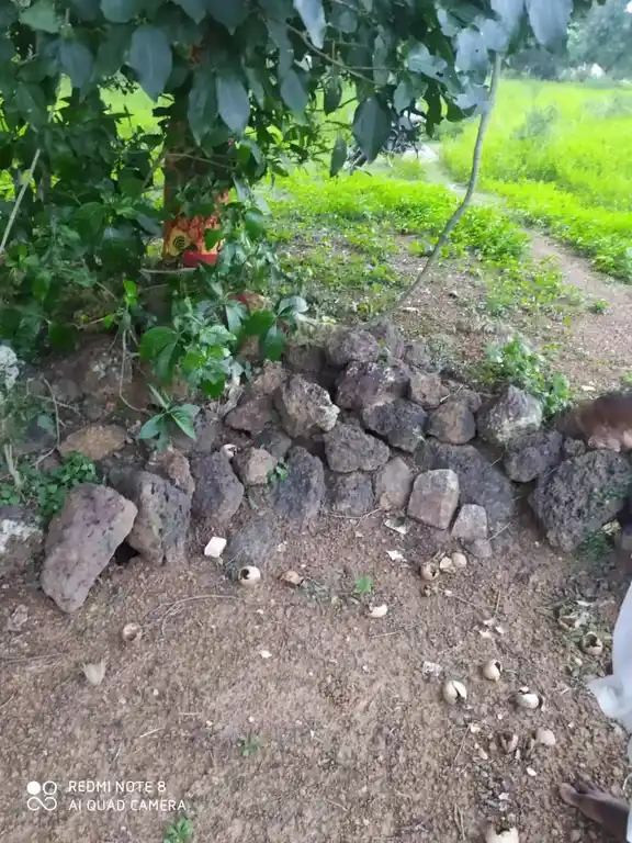 Arulmigu Pidariselliamman Temple, Near Lake View, Keemalur - 601201 அருள்மிகு பிடாரி செல்லியம்மன் திருக்கோயில், Near Lake View, Keemalur - 601201, Tiruvallur - Ancient Temple Architecture and History Image 5