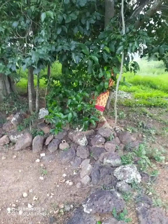 Arulmigu Pidariselliamman Temple, Near Lake View, Keemalur - 601201 அருள்மிகு பிடாரி செல்லியம்மன் திருக்கோயில், Near Lake View, Keemalur - 601201, Tiruvallur - Ancient Temple Architecture and History Image 7