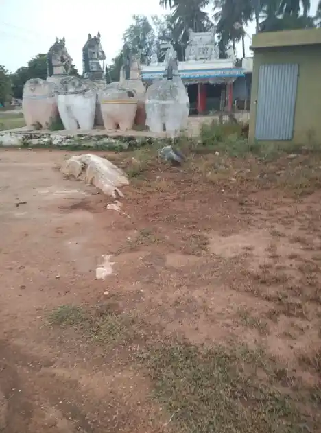 Arulmigu Pidariyamman,Kaliyamman Temple, Kalipalayam - 637017 அருள்மிகு பிடாரியம்மன், காளியம்மன் திருக்கோயில், Kalipalayam - 637017, Namakkal - Ancient Temple Architecture and History Image 2