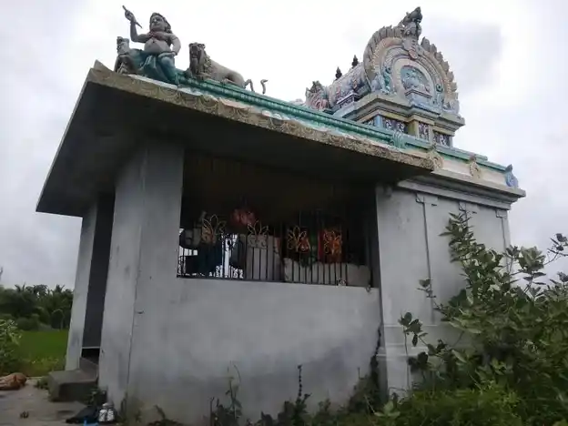 Arulmigu Pidariyamman Temple, Ammankudi - 612202 அருள்மிகு பிடாரியம்மன் திருக்கோயில், Ammankudi - 612202, Thanjavur - Ancient Temple Architecture and History Image 2