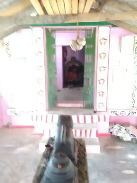 Arulmigu Pidariyamman Temple, Andikkadu, Andikkadu - 614723 அருள்மிகு பிடாரி அம்மன் திருக்கோயில், ஆண்டிகாடு, ஆண்டிகாடு - 614723, Thanjavur - Ancient Temple Architecture and History Image 2