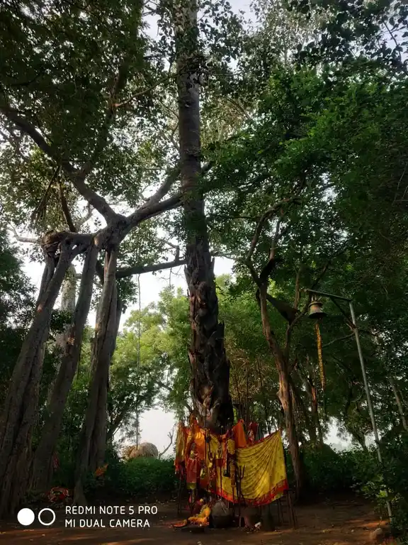 Arulmigu Pidariyamman Temple, Ellaigiramam - 606107