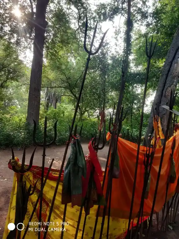 Arulmigu Pidariyamman Temple, Ellaigiramam - 606107 Arulmigu Pidariyamman Temple, Ellaigiramam - 606107, Kallakurichi - Ancient Temple Architecture and History Image 2