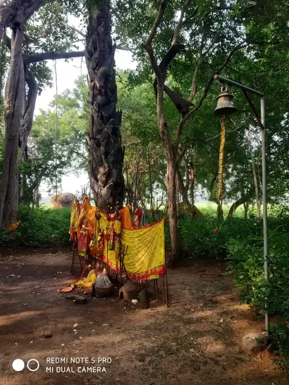 Arulmigu Pidariyamman Temple, Ellaigiramam - 606107 Arulmigu Pidariyamman Temple, Ellaigiramam - 606107, Kallakurichi - Ancient Temple Architecture and History Image 4