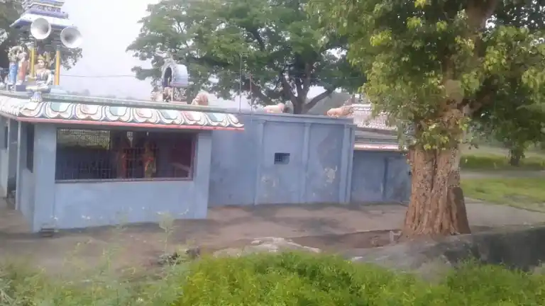 Arulmigu Pidariyamman Temple, Kandachipuram - 605701 அருள்மிகு பிடாரியம்மன் திருக்கோயில், Kandachipuram - 605701, Viluppuram - Ancient Temple Architecture and History Image 2