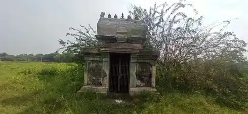 Arulmigu Pidariyamman Temple, Karupur 19-1 - 610101 அருள்மிகு பிடாரியம்மன் திருக்கோயில், Karupur 19-1, Karupur 19-1 - 610101, Thiruvarur - Ancient Temple Architecture and History Image 2