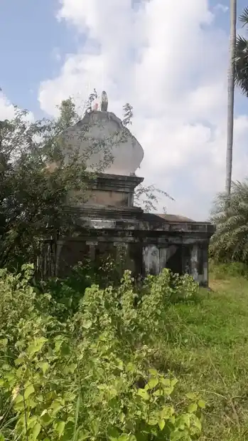 Arulmigu Pidariyamman Temple, Karupur 19-1 - 610101 அருள்மிகு பிடாரியம்மன் திருக்கோயில், Karupur 19-1, Karupur 19-1 - 610101, Thiruvarur - Ancient Temple Architecture and History Image 3