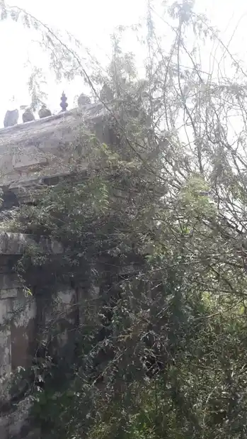 Arulmigu Pidariyamman Temple, Karupur 19-1 - 610101 அருள்மிகு பிடாரியம்மன் திருக்கோயில், Karupur 19-1, Karupur 19-1 - 610101, Thiruvarur - Ancient Temple Architecture and History Image 5