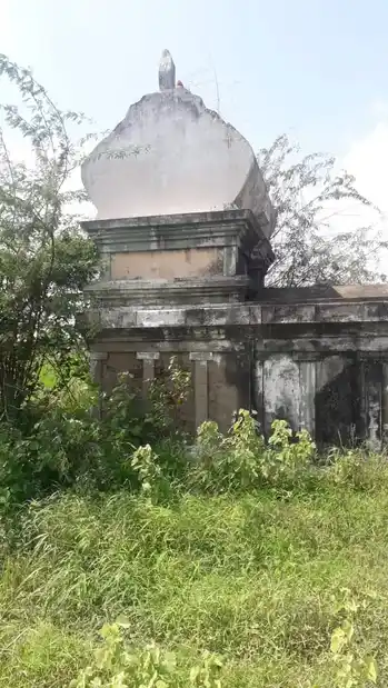 Arulmigu Pidariyamman Temple, Karupur 19-1 - 610101 அருள்மிகு பிடாரியம்மன் திருக்கோயில், Karupur 19-1, Karupur 19-1 - 610101, Thiruvarur - Ancient Temple Architecture and History Image 6