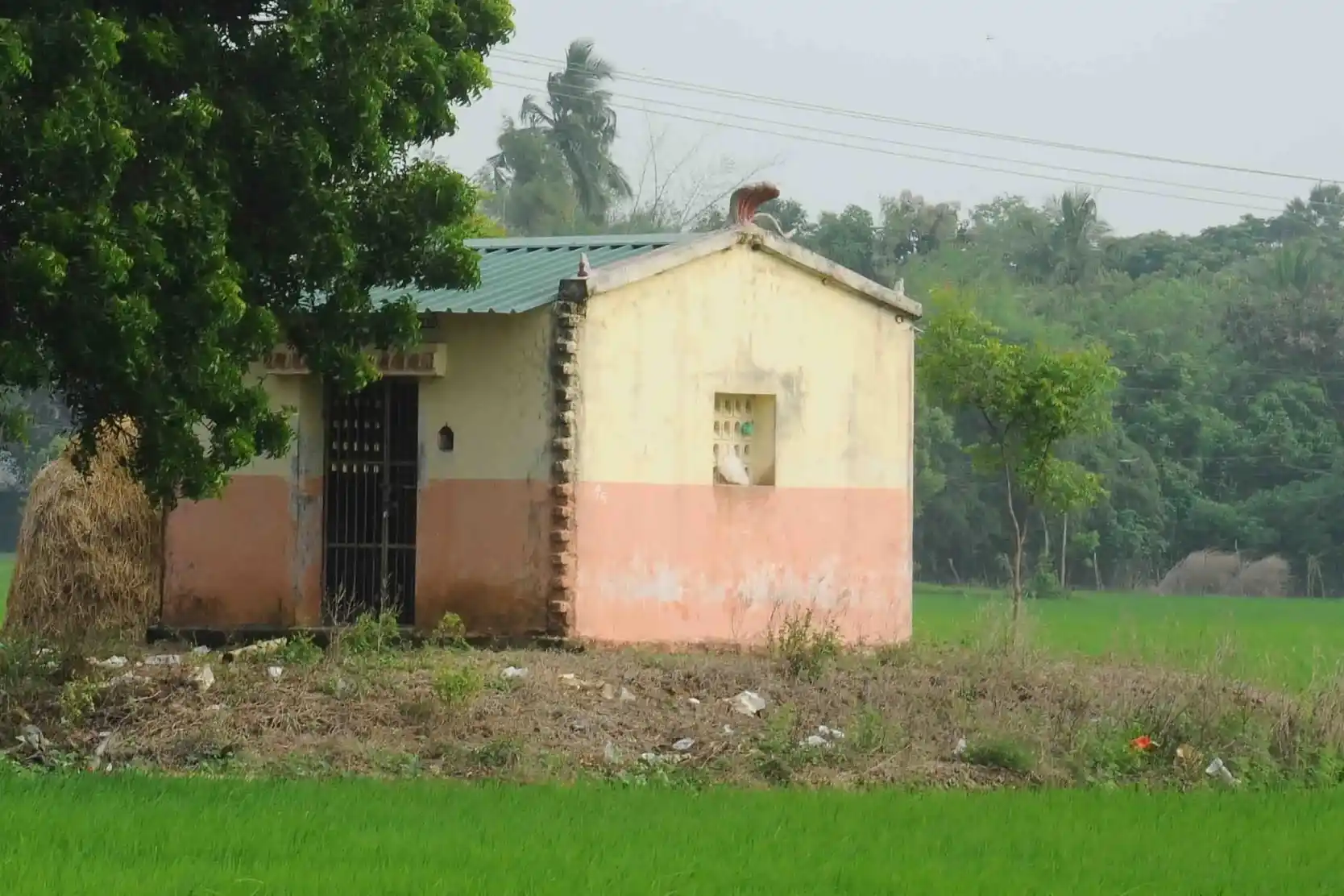 Arulmigu Pidariyamman Temple, Kodavilaham - 609306 Temple
