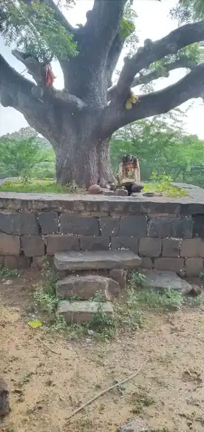 Arulmigu Pidariyamman Temple, Kothapulli - 624622 அருள்மிகு பிடாரியம்மன் கோயில், Kothapulli - 624622, Dindigul - Ancient Temple Architecture and History Image 2