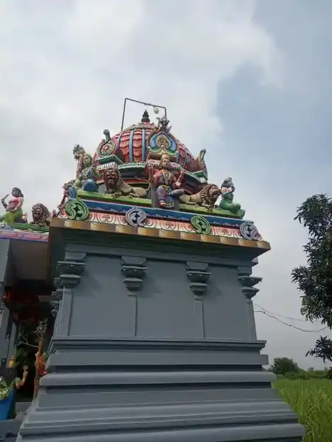 Arulmigu Pidariyamman Temple, Kunniyur - 606206 அருள்மிகு பிடாரியம்மன் திருக்கோயில், Kunniyur - 606206, Kallakurichi - Ancient Temple Architecture and History Image 5