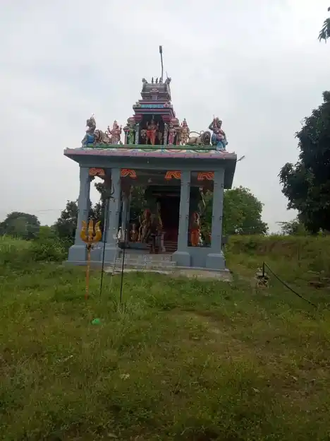 Arulmigu Pidariyamman Temple, Kunniyur - 606206 அருள்மிகு பிடாரியம்மன் திருக்கோயில், Kunniyur - 606206, Kallakurichi - Ancient Temple Architecture and History Image 6