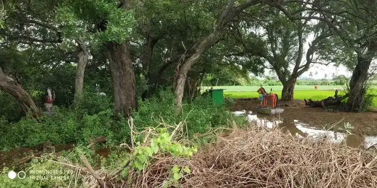 Arulmigu Pidariyamman Temple, Mallaapuram - 606207 அருள்மிகு பிடாரியம்மன் திருக்கோயில், Mallaapuram - 606207, Kallakurichi - Ancient Temple Architecture and History Image 3