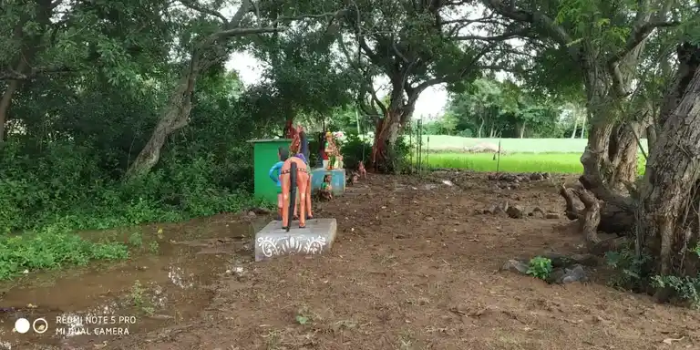 Arulmigu Pidariyamman Temple, Mallaapuram - 606207 அருள்மிகு பிடாரியம்மன் திருக்கோயில், Mallaapuram - 606207, Kallakurichi - Ancient Temple Architecture and History Image 6