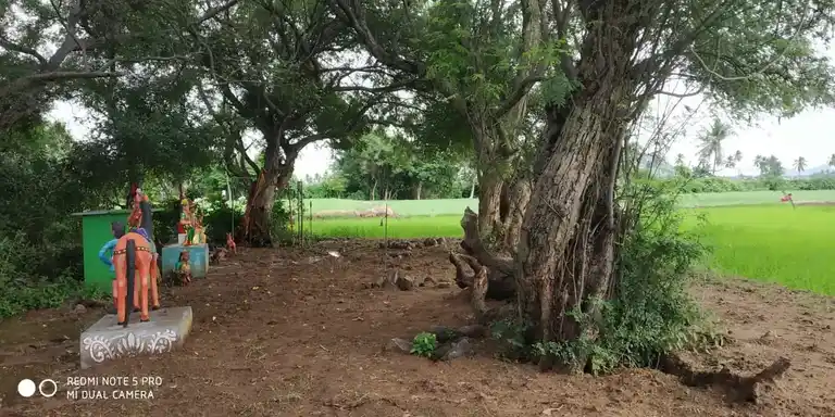 Arulmigu Pidariyamman Temple, Mallaapuram - 606207 அருள்மிகு பிடாரியம்மன் திருக்கோயில், Mallaapuram - 606207, Kallakurichi - Ancient Temple Architecture and History Image 9