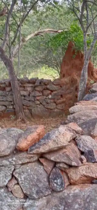 Arulmigu Pidariyamman Temple, Manaripatti, Murukkantal - 635207 அருள்மிகு பிடாரியம்மன் திருக்கோயில், Manaripatti, Murukkantal - 635207, Krishnagiri - Ancient Temple Architecture and History Image 3