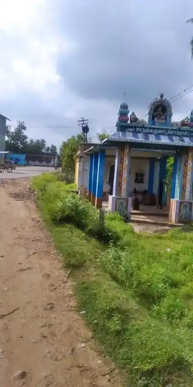 Arulmigu Pidariyamman Temple, N.Kovilpatti - 624401 அருள்மிகு பிடாரியம்மன் திருக்கோயில், N.Kovilpatti - 624401, Dindigul - Ancient Temple Architecture and History Image 2