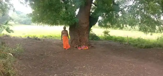 Arulmigu Pidariyamman Temple, Nathakkarai - 636112 அருள்மிகு பிடாரியம்மன் திருக்கோயில், Nathakkarai - 636112, Salem - Ancient Temple Architecture and History Image 2