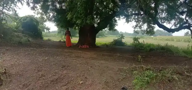 Arulmigu Pidariyamman Temple, Nathakkarai - 636112 அருள்மிகு பிடாரியம்மன் திருக்கோயில், Nathakkarai - 636112, Salem - Ancient Temple Architecture and History Image 3