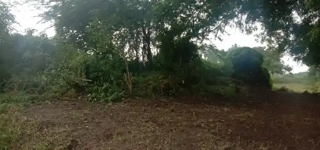 Arulmigu Pidariyamman Temple, Nathakkarai - 636112 அருள்மிகு பிடாரியம்மன் திருக்கோயில், Nathakkarai - 636112, Salem - Ancient Temple Architecture and History Image 4