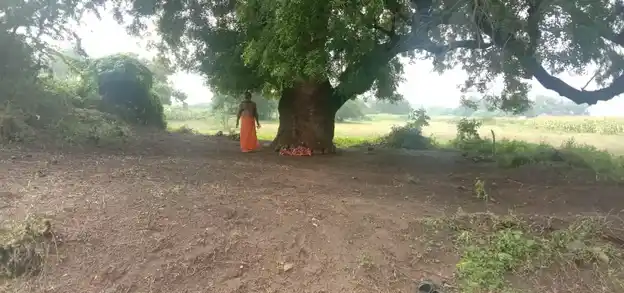 Arulmigu Pidariyamman Temple, Nathakkarai - 636112 அருள்மிகு பிடாரியம்மன் திருக்கோயில், Nathakkarai - 636112, Salem - Ancient Temple Architecture and History Image 5