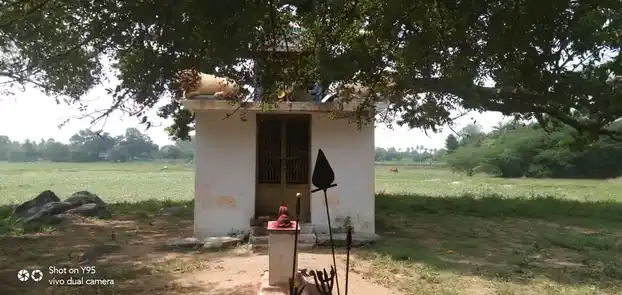 Arulmigu Pidariyamman Temple, Nedumaanoor - 606208 Temple