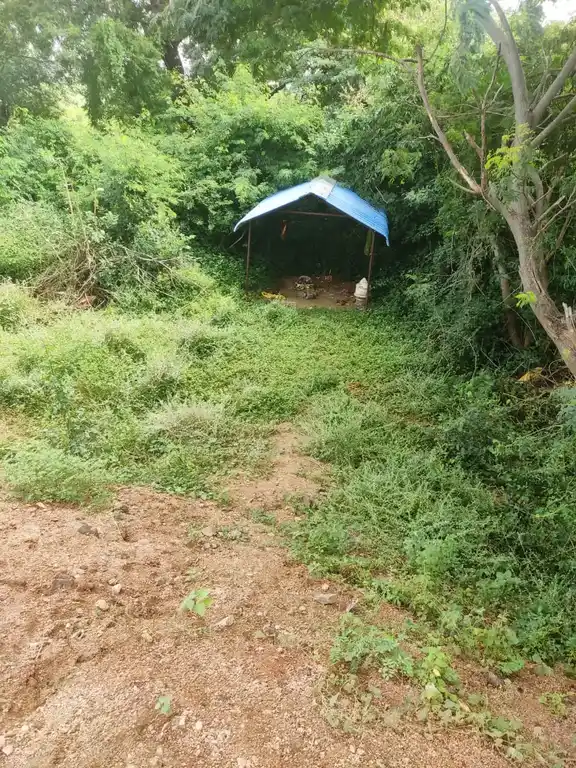 Arulmigu Pidariyamman Temple, Pallavaadi - 607201 Temple