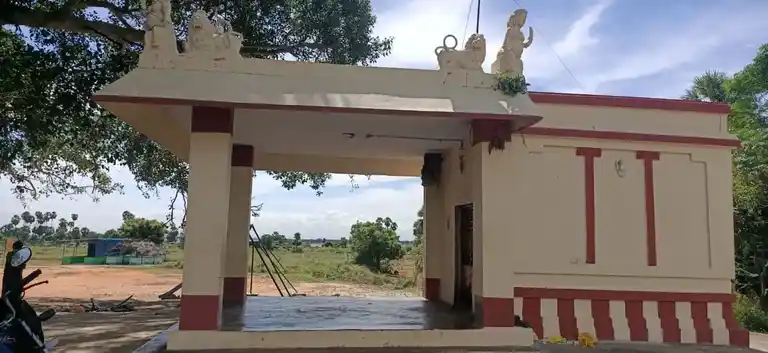 Arulmigu Pidariyamman Temple, Pappanguli - 602106 அருள்மிகு பிடாரியம்மன் திருக்கோயில், Pappanguli - 602106, Kancheepuram - Ancient Temple Architecture and History Image 4