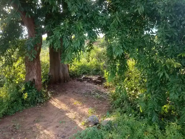 Arulmigu Pidariyamman Temple, Parigam - 606207