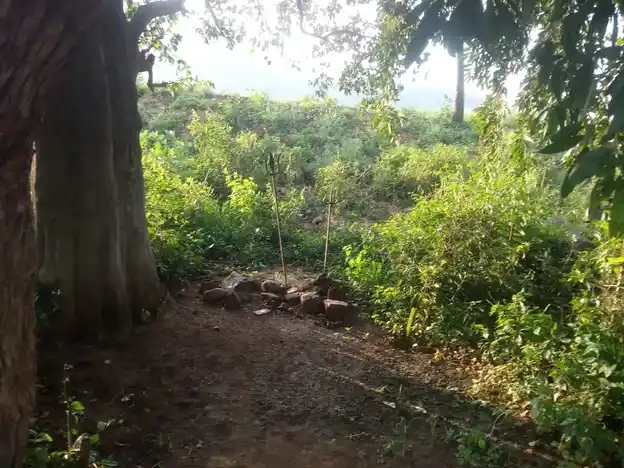 Arulmigu Pidariyamman Temple, Parigam - 606207 அருள்மிகு பிடாரியம்மன் திருக்கோயில், Parigam - 606207, Kallakurichi - Ancient Temple Architecture and History Image 2