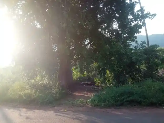 Arulmigu Pidariyamman Temple, Parigam - 606207 அருள்மிகு பிடாரியம்மன் திருக்கோயில், Parigam - 606207, Kallakurichi - Ancient Temple Architecture and History Image 3