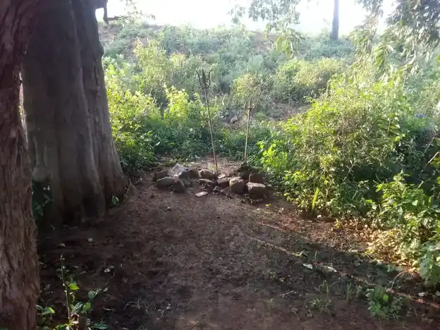 Arulmigu Pidariyamman Temple, Parigam - 606207 அருள்மிகு பிடாரியம்மன் திருக்கோயில், Parigam - 606207, Kallakurichi - Ancient Temple Architecture and History Image 4