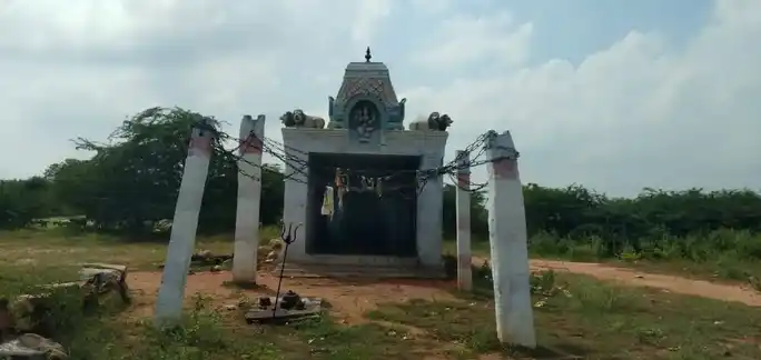 Arulmigu Pidariyamman Temple, Pothuravuthanpatti - 639119 அருள்மிகு பிடாரியம்மன் திருக்கோயில், Pothuravuthanpatti - 639119, Karur - Ancient Temple Architecture and History Image 2