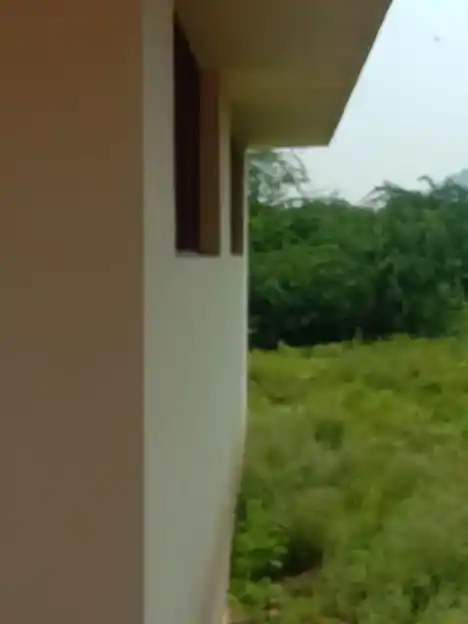 Arulmigu Pidariyamman Temple, Pudupatti - 624705 அருள்மிகு பிடாரியம்மன் திருக்கோயில், Pudupatti - 624705, Dindigul - Ancient Temple Architecture and History Image 2